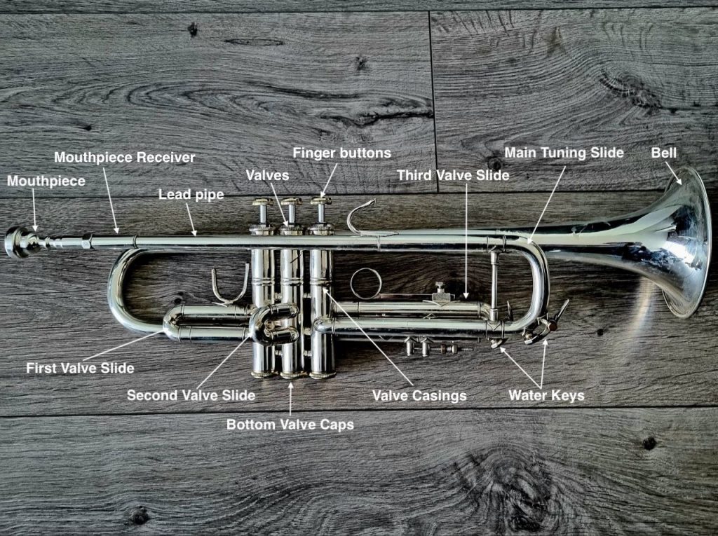 Decoding: What Are The Buttons On A Trumpet Called?