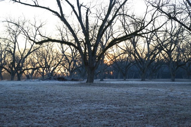Understanding Late Winter: What Is Late Winter Explained