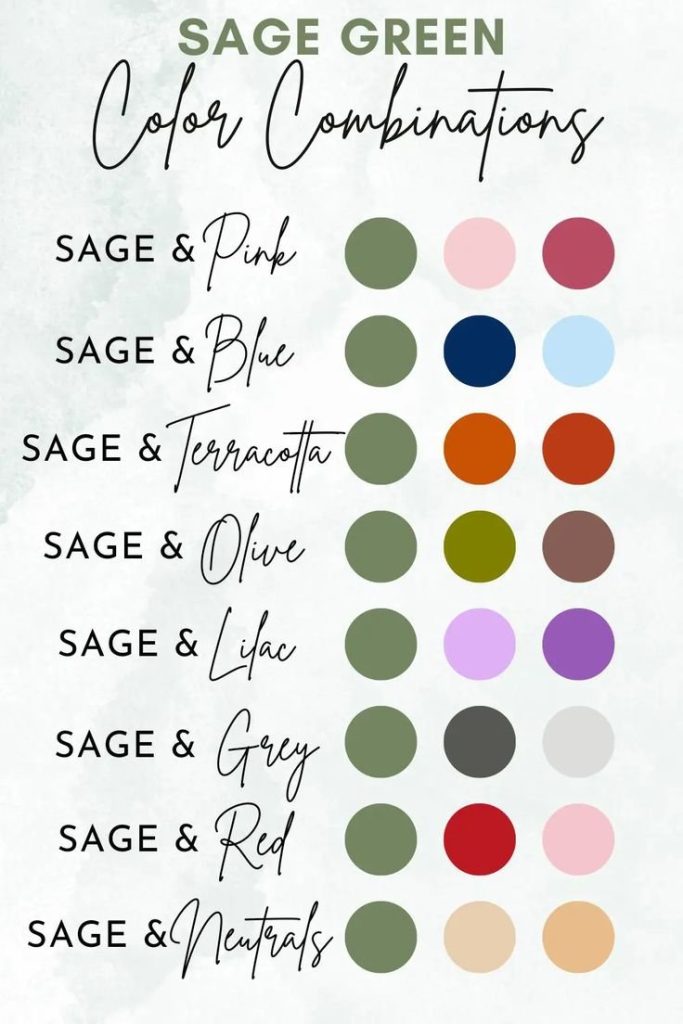 Explore What Matches Sage Green Perfectly