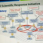 Agentic Knowledge Solution: Is It the Best Governance Tool?